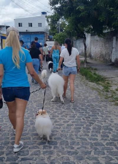 Aqui, acreditamos que o treinamento canino também envolve os tutores. Caminhadas em grupo como essa ajudam a fortalecer os laços entre os cães e seus donos, promovendo um convívio harmonioso